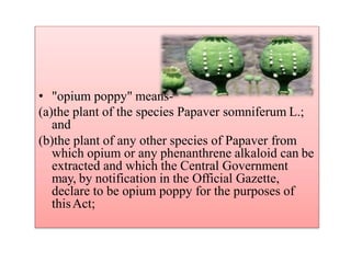 • "opium poppy" means-
(a)the plant of the species Papaver somniferum L.;
and
(b)the plant of any other species of Papaver from
which opium or any phenanthrene alkaloid can be
extracted and which the Central Government
may, by notification in the Official Gazette,
declare to be opium poppy for the purposes of
thisAct;
 