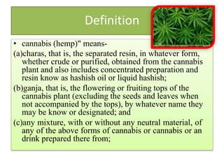 Definition
• cannabis (hemp)" means-
(a)charas, that is, the separated resin, in whatever form,
whether crude or purified, obtained from the cannabis
plant and also includes concentrated preparation and
resin know as hashish oil or liquid hashish;
(b)ganja, that is, the flowering or fruiting tops of the
cannabis plant (excluding the seeds and leaves when
not accompanied by the tops), by whatever name they
may be know or designated; and
(c)any mixture, with or without any neutral material, of
any of the above forms of cannabis or cannabis or an
drink prepared there from;
 