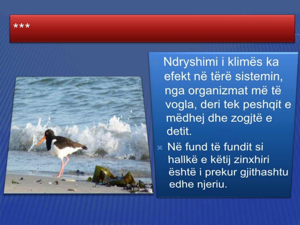 Ndryshimet klimatike