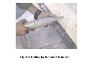 Figure: Testing by Rebound Hammer
 