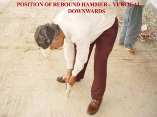 POSITION OFREBOUND HAMMER - VERTICAL
DOWNWARDS
 