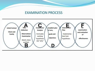 EXAMINATION PROCESS
 