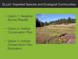 SLLp2: Imperiled Species and Ecological Communities


 • Option 1: Negative
   Survey Results

 • Option 2: Habitat
   Conservation Plan

 • Option 3: Habitat
   Conservation Plan
   Equivalent
 
