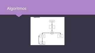 Algoritmos
 