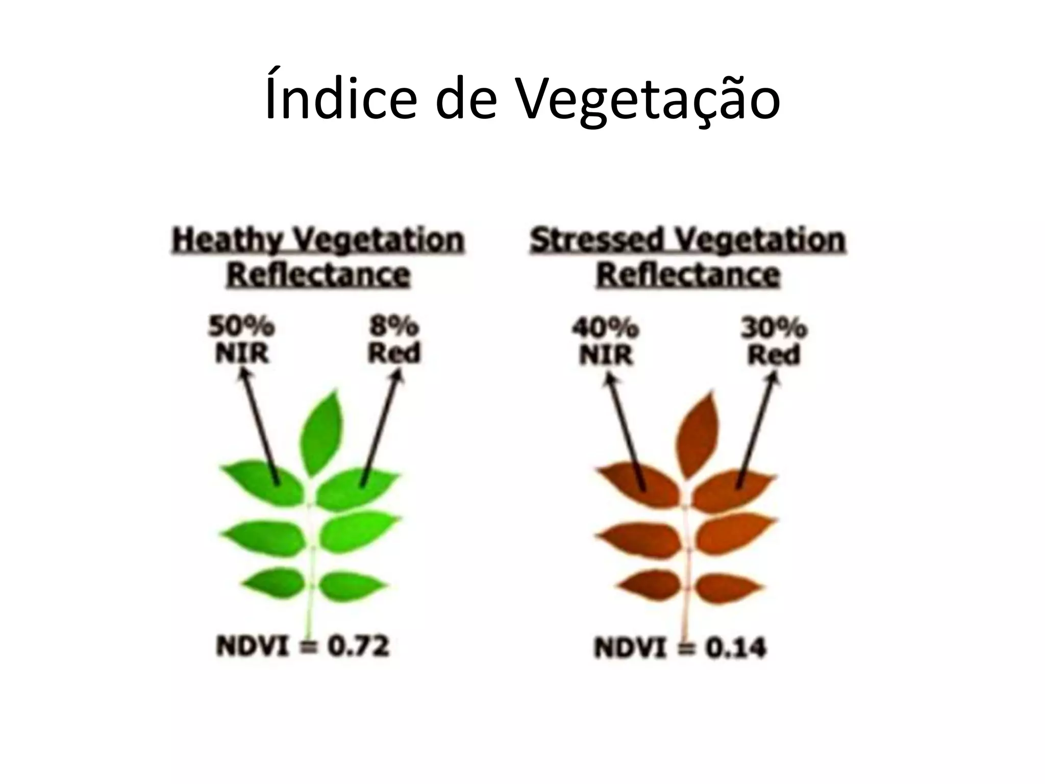 Índice de Vegetação
 