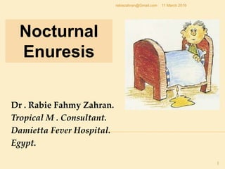 Nocturnal
Enuresis
11 March 2019
1
rabiezahran@Gmail.com
Dr . Rabie Fahmy Zahran.
Tropical M . Consultant.
Damietta Fever Hospital.
Egypt.
 