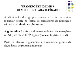 TRANSPORTE DE NH3
         DO MÚSCULO PARA O FÍGADO

A eliminação dos grupos amino à partir do tecido
muscular ocorre na forma de carreadores de nitrogênio
não tóxicos: alanina e glutamina.

A glutamina é a forma dominante de carrear nitrogênio
ou NH3 do músculo  fígado (Protetor hepático e renal)

Parte da alanina e glutamina é diretamente gerada da
degradação de proteína muscular.
 