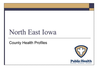 North East Iowa County Health Profiles 