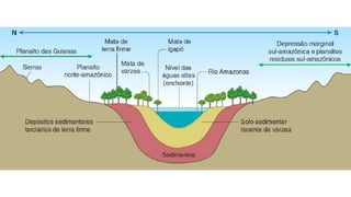 9 complexo regional-amazonico