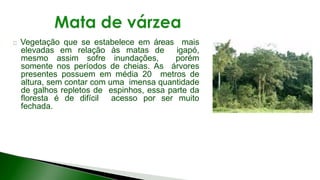 9 complexo regional-amazonico