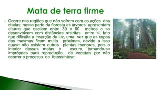 9 complexo regional-amazonico