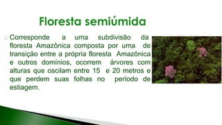 9 complexo regional-amazonico