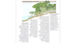 9 complexo regional-amazonico