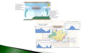 9 complexo regional-amazonico
