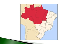 9 complexo regional-amazonico