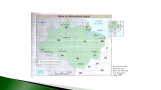 9 complexo regional-amazonico