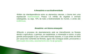 9 complexo regional-amazonico