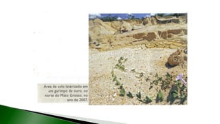 9 complexo regional-amazonico