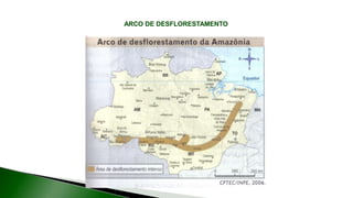 9 complexo regional-amazonico