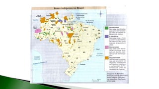 9 complexo regional-amazonico