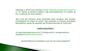 9 complexo regional-amazonico
