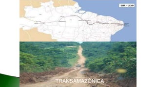 9 complexo regional-amazonico