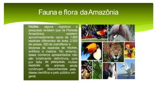 9 complexo regional-amazonico