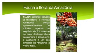 9 complexo regional-amazonico