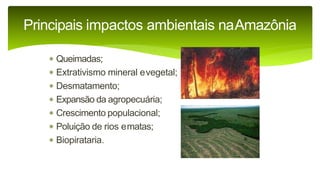 9 complexo regional-amazonico