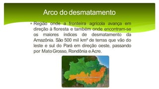 9 complexo regional-amazonico