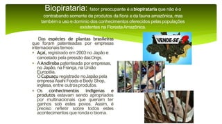 9 complexo regional-amazonico