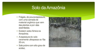 9 complexo regional-amazonico