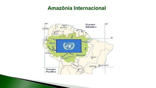 9 complexo regional-amazonico