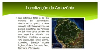 9 complexo regional-amazonico