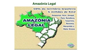 9 complexo regional-amazonico