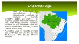 9 complexo regional-amazonico