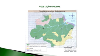 9 complexo regional-amazonico