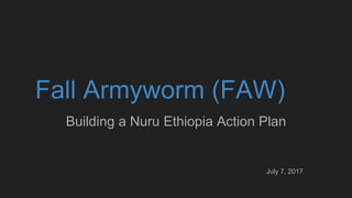 Fall Armyworm (FAW)
Building a Nuru Ethiopia Action Plan
July 7, 2017
 