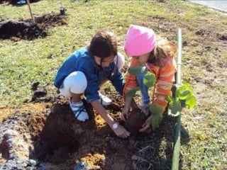 Em comemoração a semana do meio
ambiente em Paulínia a Empresa Brasken
doou 800 mudas para serem plantadas na
cidade.
Os educandos e educadores participaram do
processo de plantio na área do Parque para
fortalecer o trabalho e agir junto à
comunidade.
 
