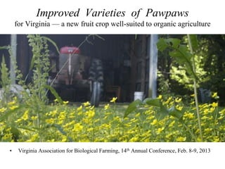 Improved Varieties of Pawpaws
for Virginia — a new fruit crop well-suited to organic agriculture
• Virginia Association for Biological Farming, 14th Annual Conference, Feb. 8-9, 2013
 