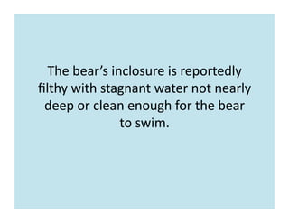 The	
  bear’s	
  inclosure	
  is	
  reportedly	
  
ﬁlthy	
  with	
  stagnant	
  water	
  not	
  nearly	
  
deep	
  or	
  c...
