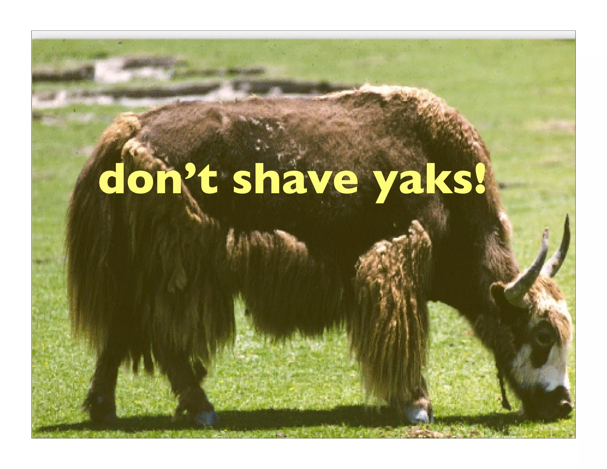 the productive programer: mechanics