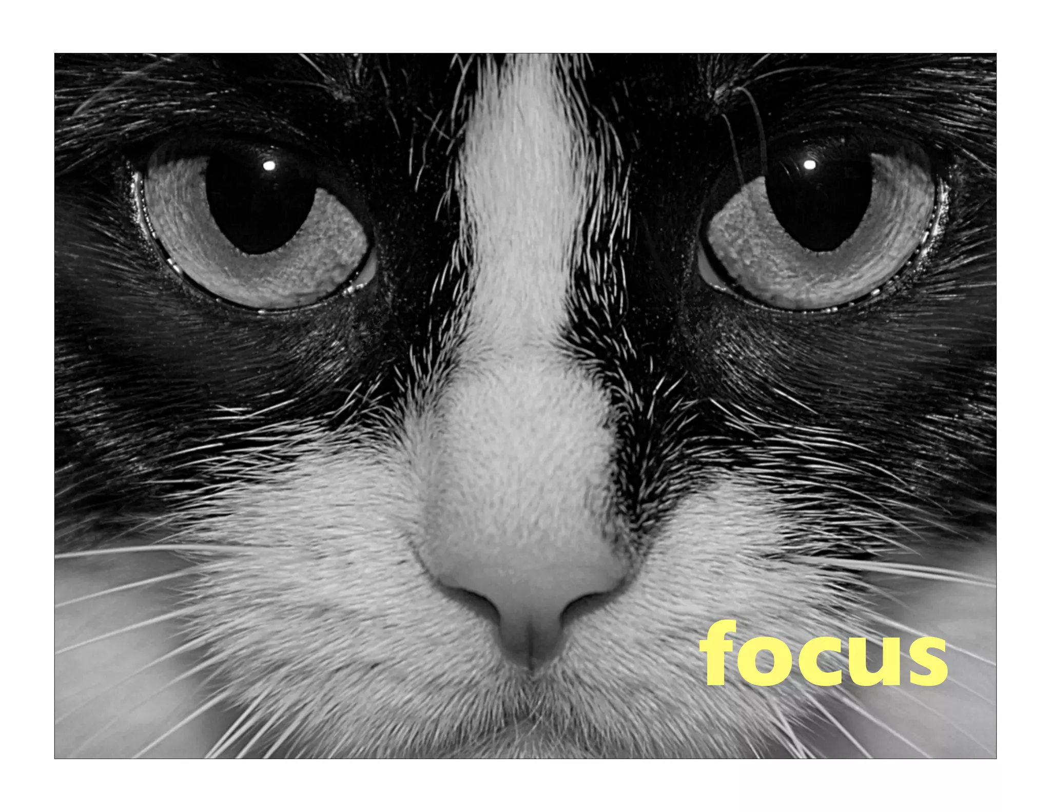 the productive programer: mechanics