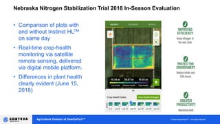 Agriculture Division of DowDuPont™ Corteva AgriscienceTM - All rights reserved
Nebraska Nitrogen Stabilization Trial 2018 In-Season Evaluation
• Comparison of plots with
and without Instinct HLTM
on same day
• Real-time crop-health
monitoring via satellite
remote sensing, delivered
via digital mobile platform.
• Differences in plant health
clearly evident (June 15,
2018)
 