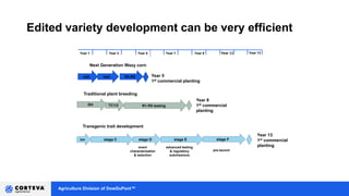 Agriculture Division of DowDuPont™
Transgenic trait development
txn stage C stage D stage E stage F
Year 13
1st commercial
planting
Year 1 Year 13Year 11Year 9Year 7Year 5Year 3
Year 5
1st commercial planting
Next Generation Waxy corn
edit test R4-R5
event
characterization
& selection
advanced testing
& regulatory
submissions
pre-launch
Edited variety development can be very efficient
TC1/2 R1-R5 testing
Traditional plant breeding
Year 8
1st commercial
planting
DH
 