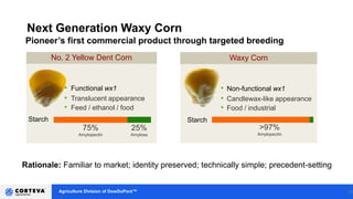 Agriculture Division of DowDuPont™
Next Generation Waxy Corn
22
Waxy Corn
• Non-functional wx1
• Candlewax-like appearance
• Food / industrial
>97%
Amylopectin
Starch
• Functional wx1
• Translucent appearance
• Feed / ethanol / food
No. 2 Yellow Dent Corn
75%
Amylopectin
25%
Amylose
Starch
Pioneer’s first commercial product through targeted breeding
Rationale: Familiar to market; identity preserved; technically simple; precedent-setting
 