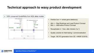 Agriculture Division of DowDuPont™
Technical approach to waxy product development
23
 100% conserved GuideRNAs from NGS allele models
• Particle Gun >> whole gene deletion(s)
• 4kb D – Reg Roadmap and Lead Product Concept
• 6kb D – Alternative Product Concept
• Recapitulate in ~1doz. elite inbreds (1yr !)
• Quality variants for field testing / commercialization
• Target: BC1F2 generation from CE > NRSP (F2016)
 