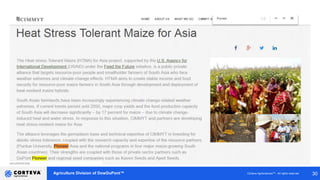 Agriculture Division of DowDuPont™ Corteva AgrisciencesTM - All rights reserved 30
 