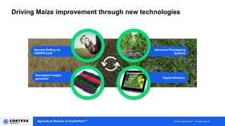 Agriculture Division of DowDuPont™ Corteva AgrisciencesTM - All rights reserved 7
Advanced Phenotyping
Systems
Digital Solutions
Genome Editing via
CRISPR-Cas9
Germplasm insight,
genomics
Driving Maize improvement through new technologies
 