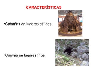 CARACTERÍSTICAS Cabañas en lugares cálidos Cuevas en lugares fríos 
